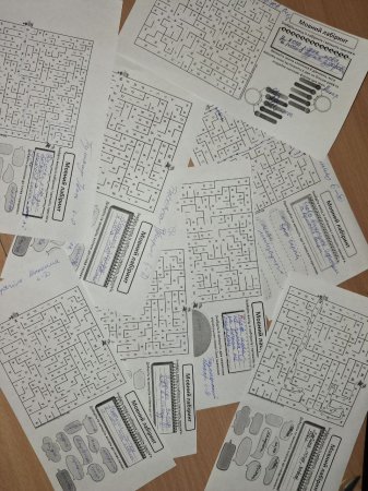 ������ ������� �����